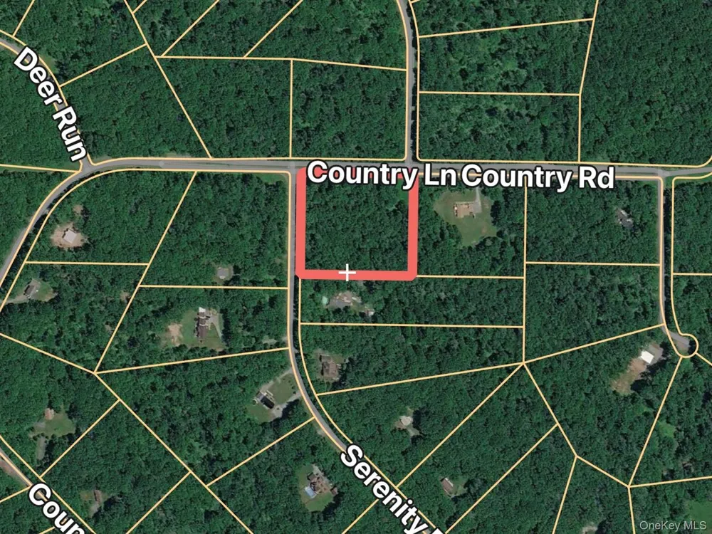 204 Country Road Callicoon, NY 12723