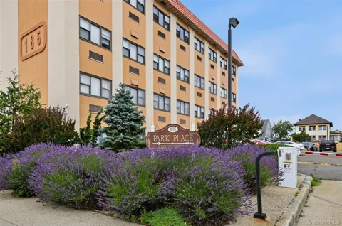 185 W Park Avenue #518