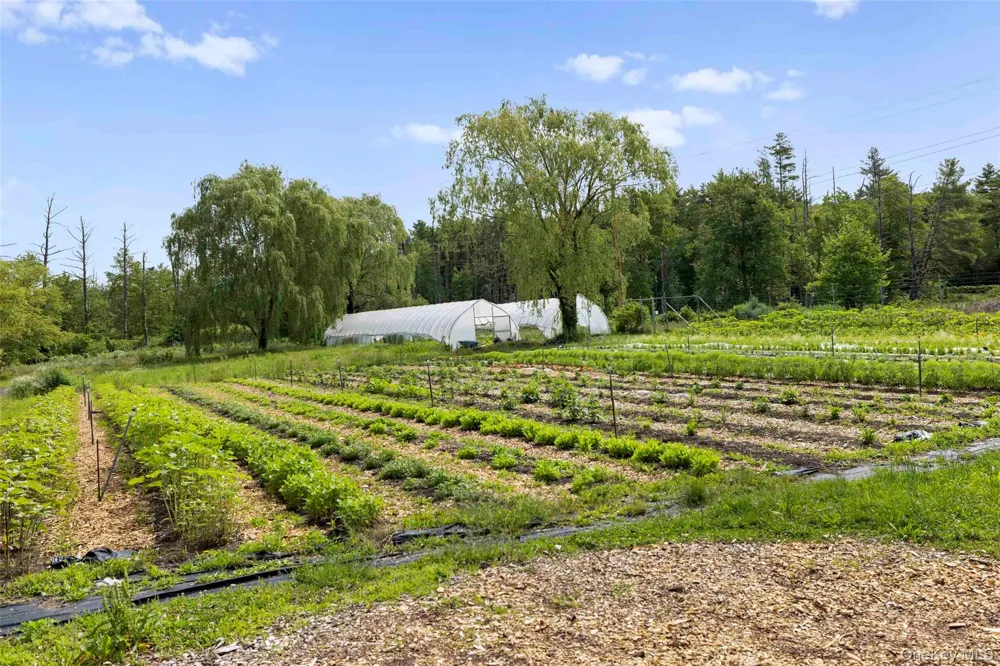 1389 Route 212 Saugerties, NY 12477