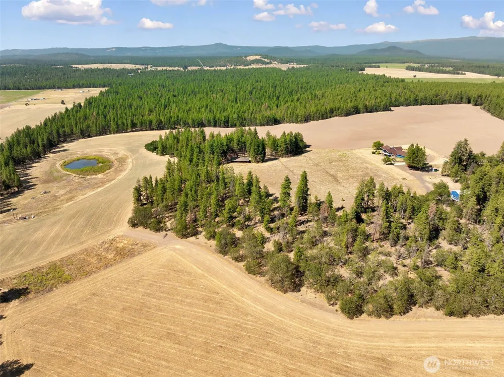 799 Counts Road Goldendale, WA 98620