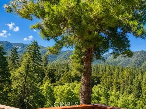 2431 Antelope Way Pine Mountain Club, CA 93222