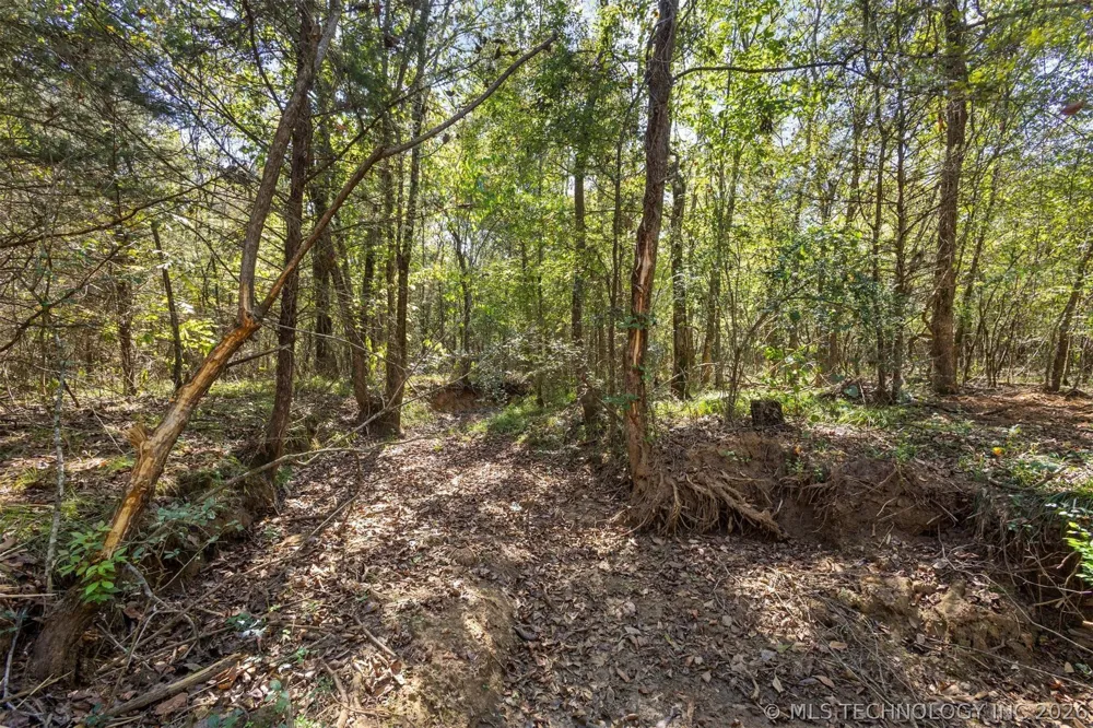 1552 Green Acres Road Idabel, OK 74745