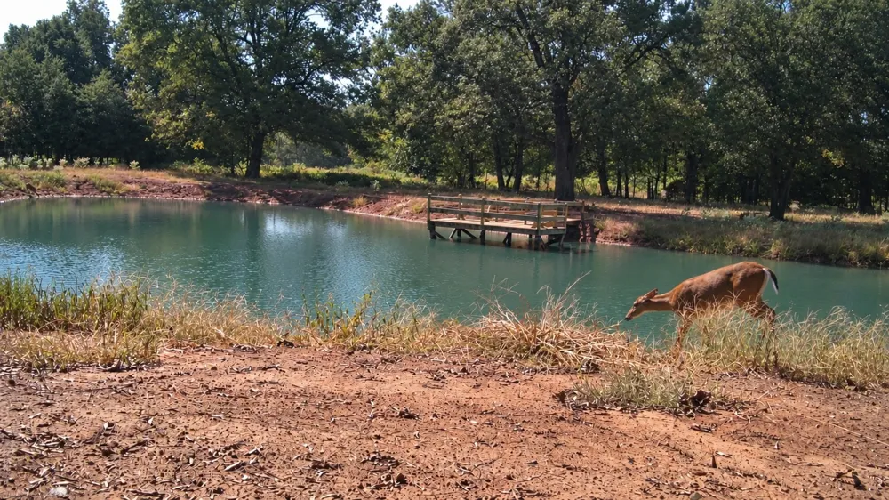 1552 Green Acres Road Idabel, OK 74745