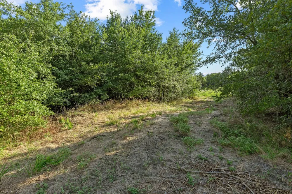 Pecan St/U.S. Highway 69 Bells, TX 75414