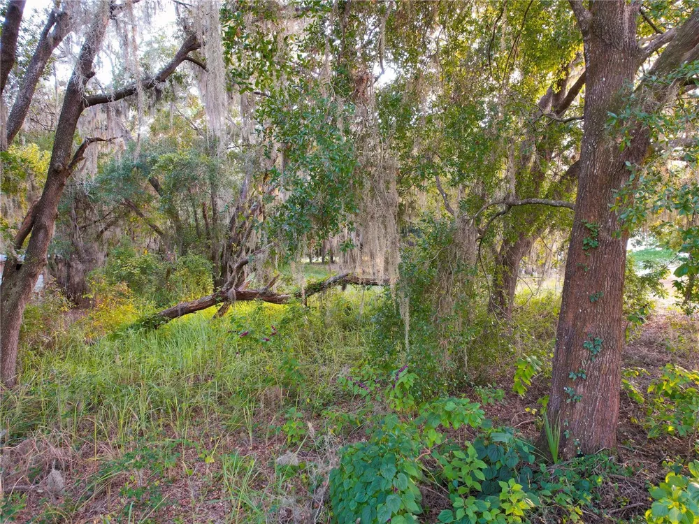 TENNESSEE AVENUE Astatula, FL 34705