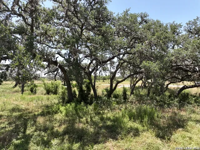 182 Grand Oaks Hondo, TX 78861