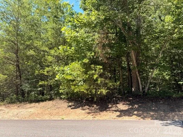 00 Panorama Drive #13 Nebo, NC 28761