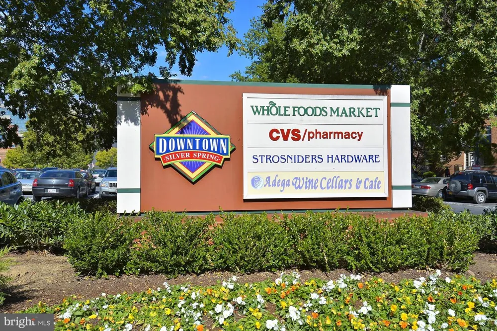 700 ROEDER ROAD #401 Silver Spring, MD 20910