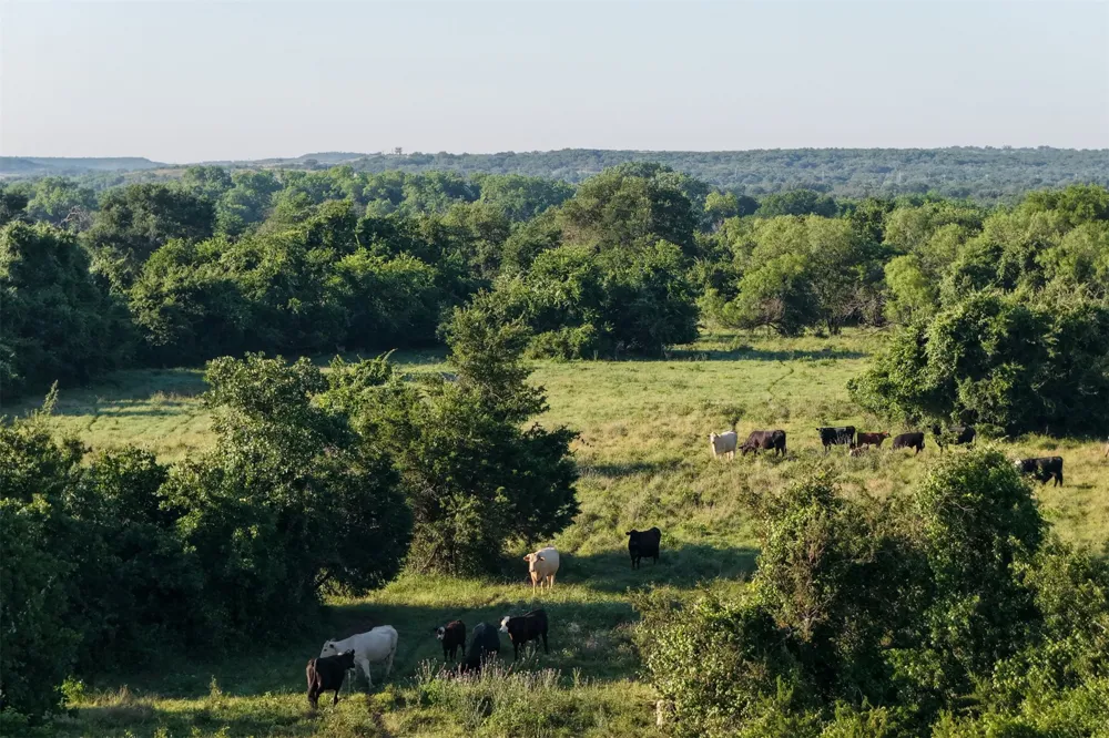 Straws Mill Road Gatesville, TX 76528