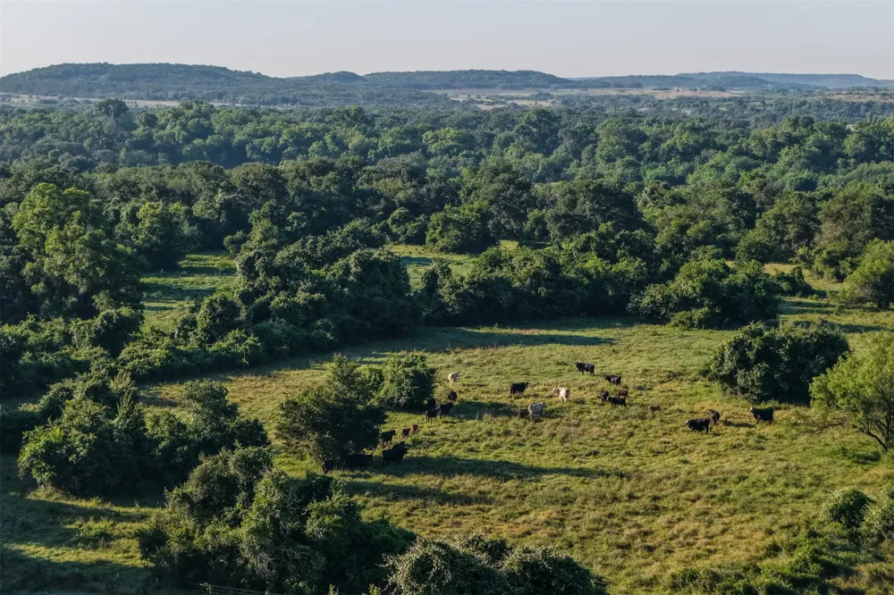 Straws Mill Road Gatesville, TX 76528