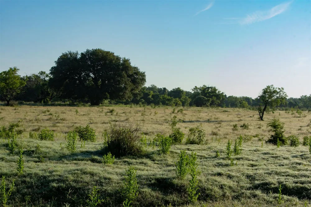 Straws Mill Road Gatesville, TX 76528