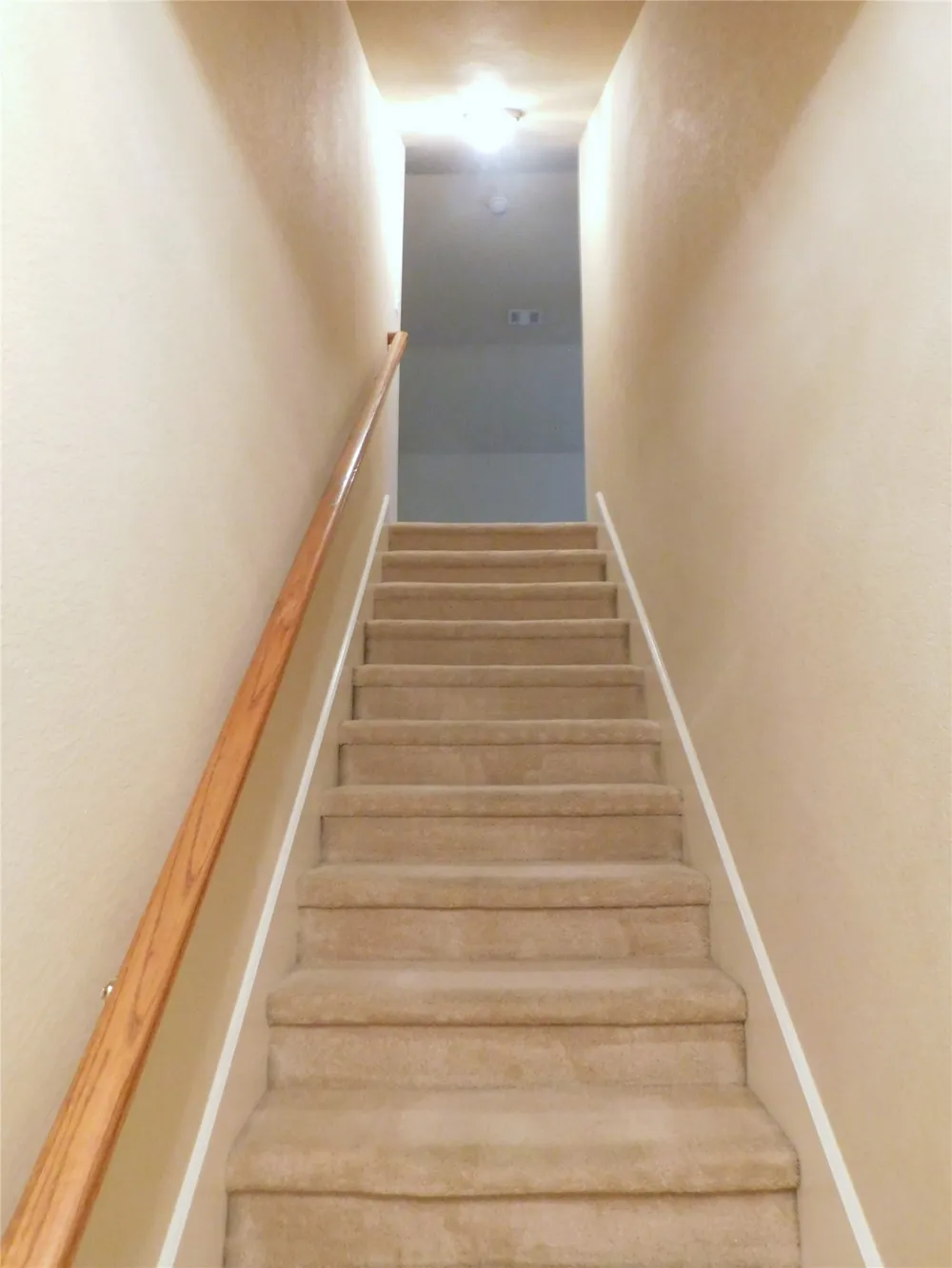 108 Red Bluff Drive Hickory Creek, TX 75065