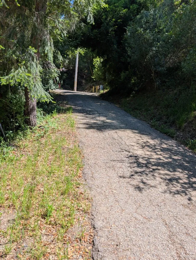 18770 Kelly (Mustang Mesa) Boulder Creek, CA 95006