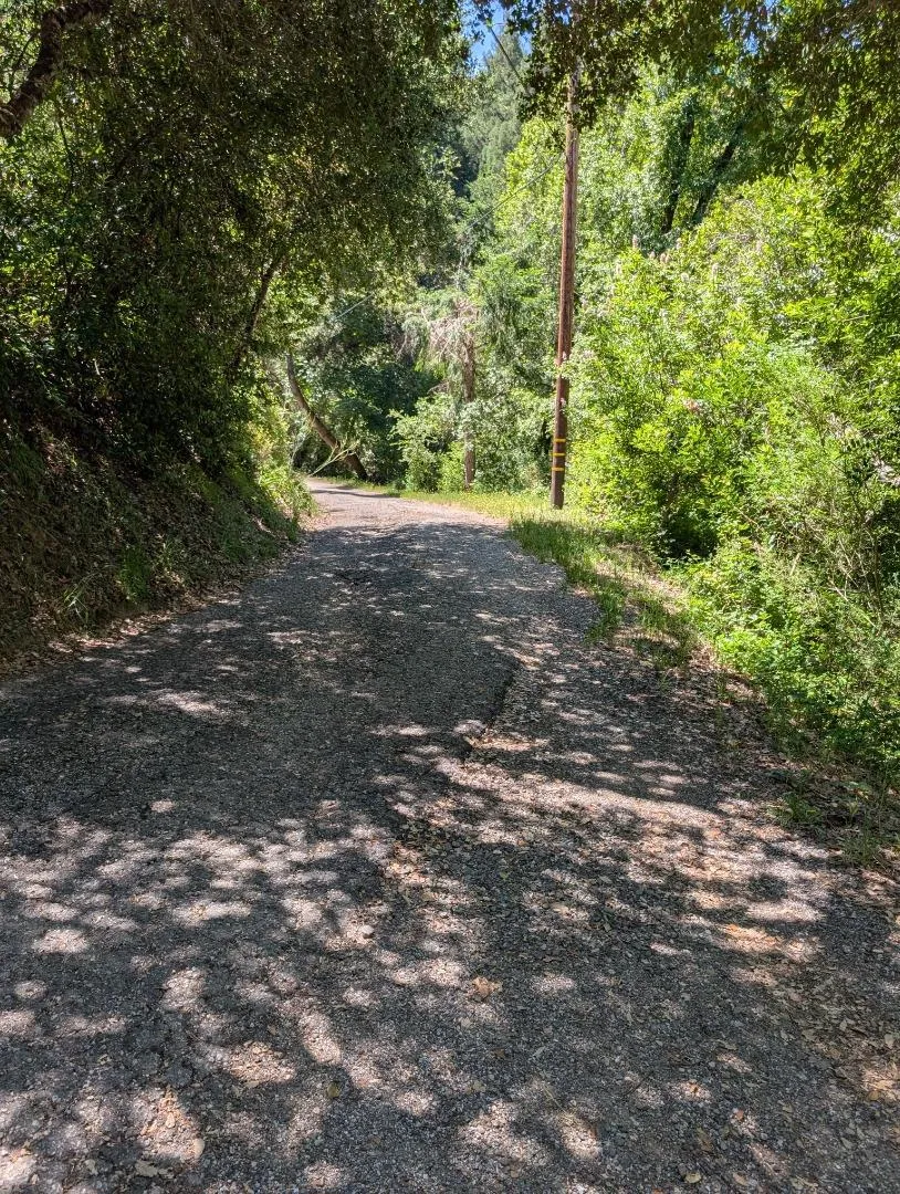 18770 Kelly (Mustang Mesa) Boulder Creek, CA 95006