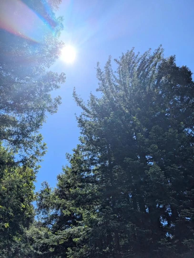 18770 Kelly (Mustang Mesa) Boulder Creek, CA 95006