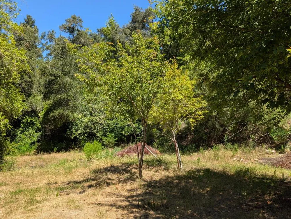 18770 Kelly (Mustang Mesa) Boulder Creek, CA 95006
