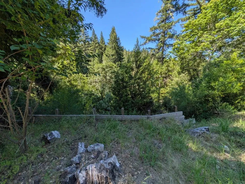 18770 Kelly (Mustang Mesa) Boulder Creek, CA 95006