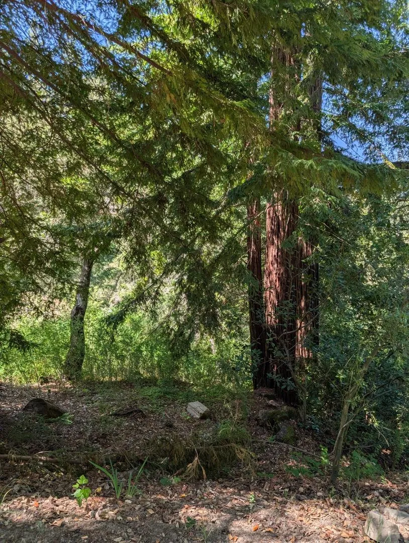 18770 Kelly (Mustang Mesa) Boulder Creek, CA 95006