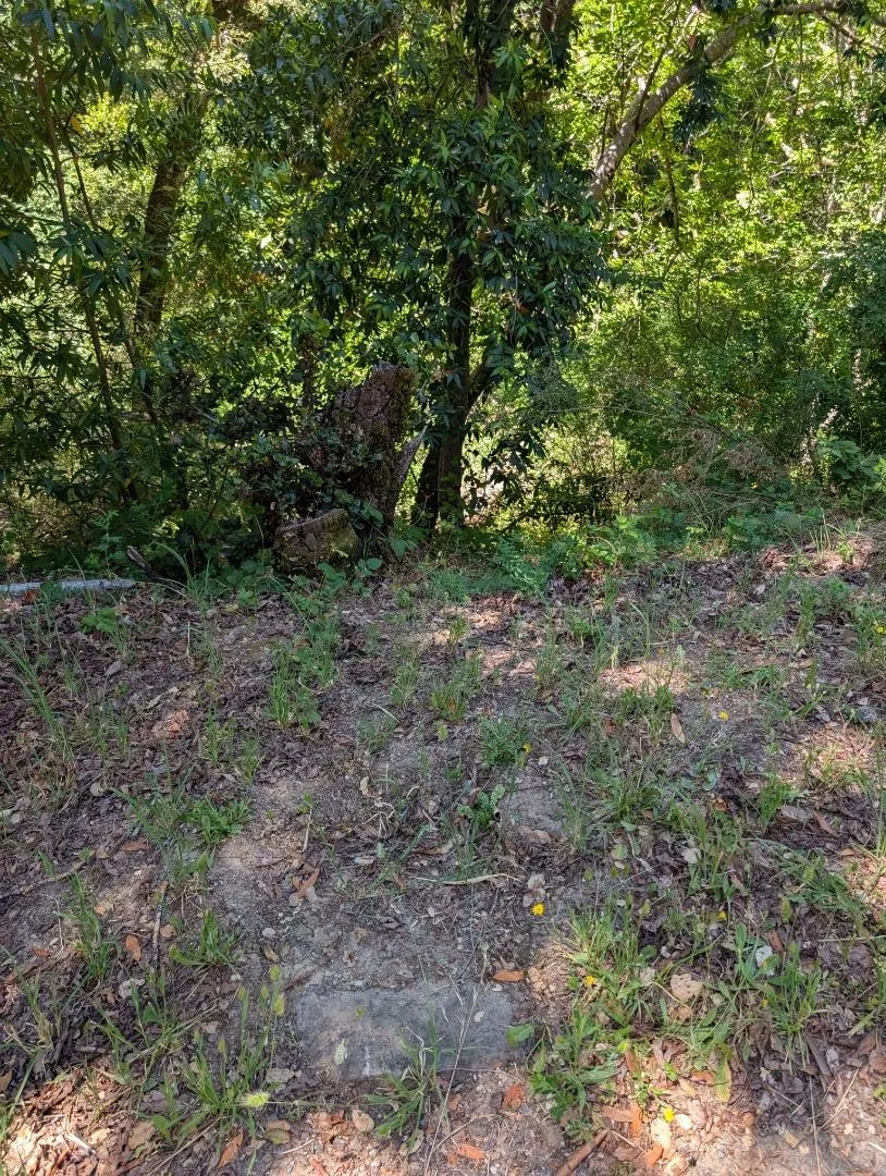 18770 Kelly (Mustang Mesa) Boulder Creek, CA 95006
