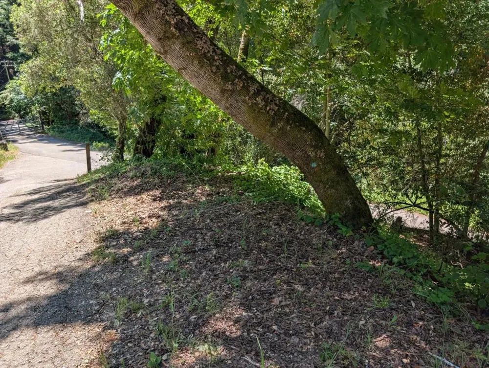 18770 Kelly (Mustang Mesa) Boulder Creek, CA 95006