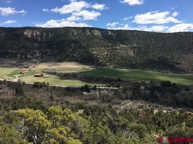 18726 Kimball Creek Road Collbran, CO 81624