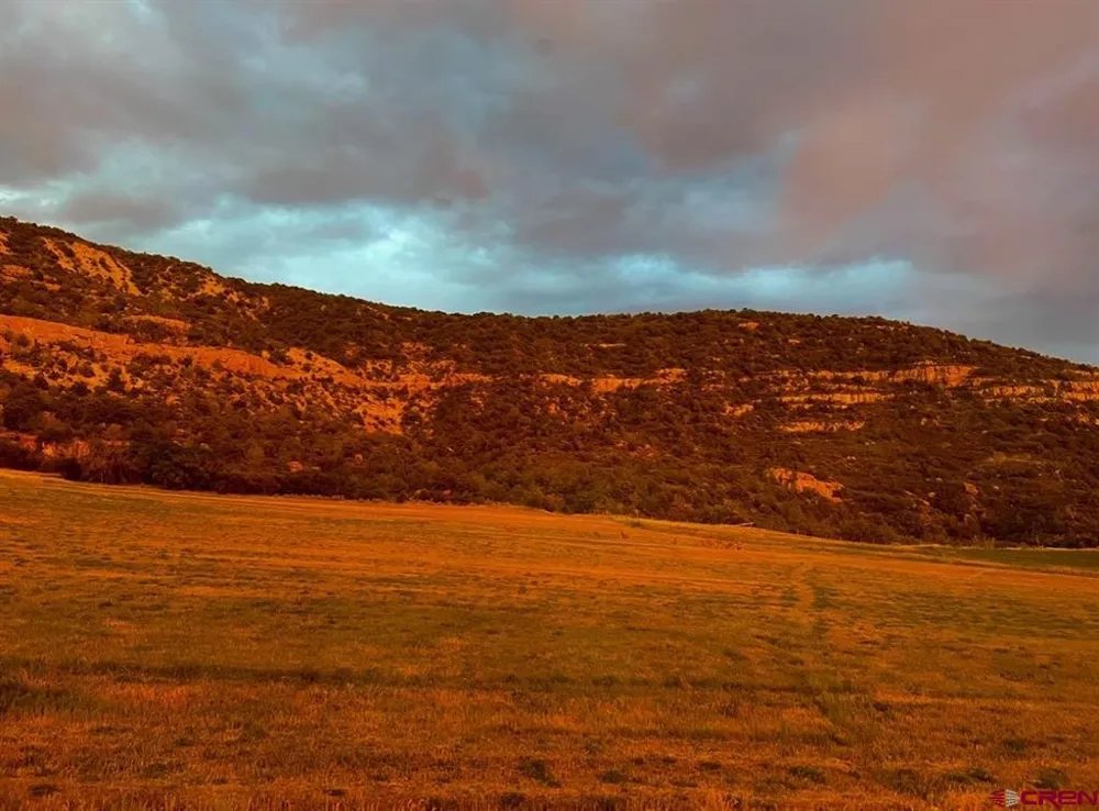 18726 Kimball Creek Road Collbran, CO 81624