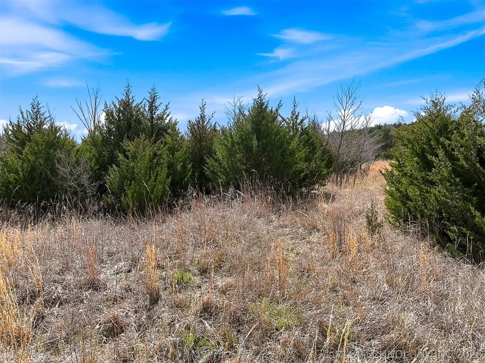 170 Hannah Gwin Drive Cleveland, OK 74038