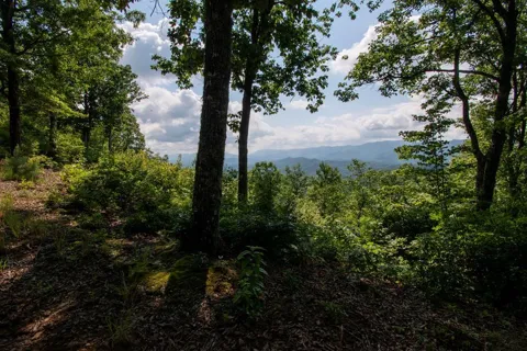 850 Bluff Road