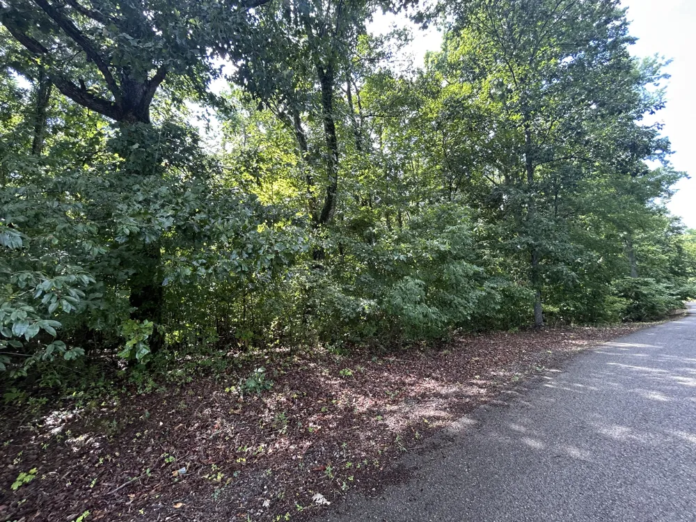 92 Gates Of The River Decatur, TN 37322