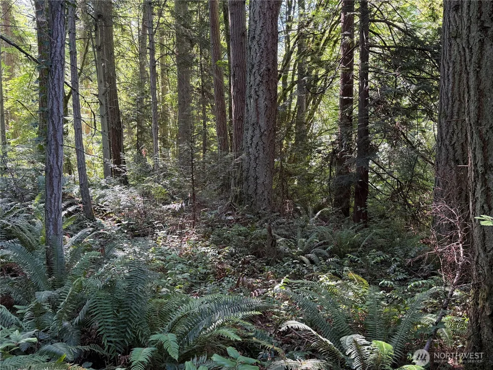 156 XX Lot 1 Marine Drive Stanwood, WA 98292