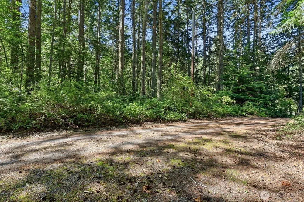156 XX Lot 1 Marine Drive Stanwood, WA 98292