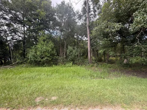 278 County Road 6502 W