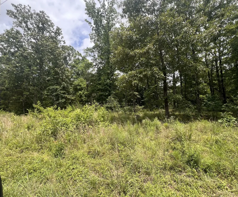 1 LakeView Drive Linden, TN 37096