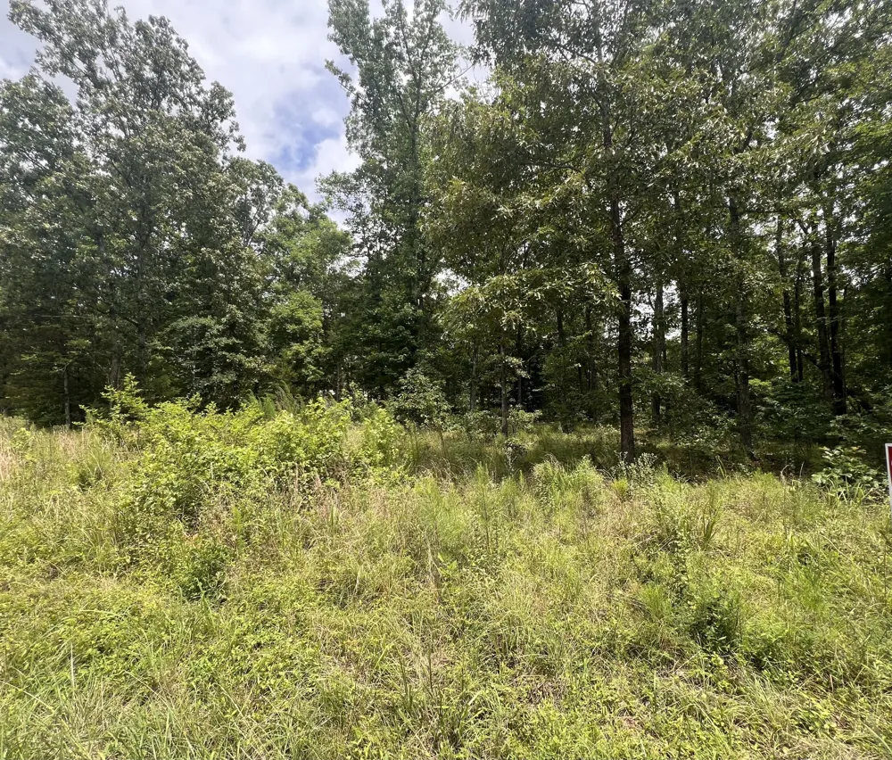 1 LakeView Drive Linden, TN 37096