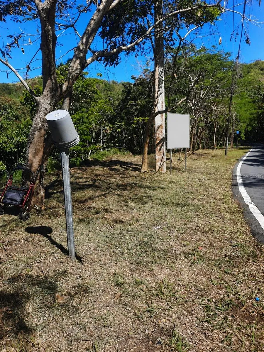 BARRERO STREET Rincon, PR 00677