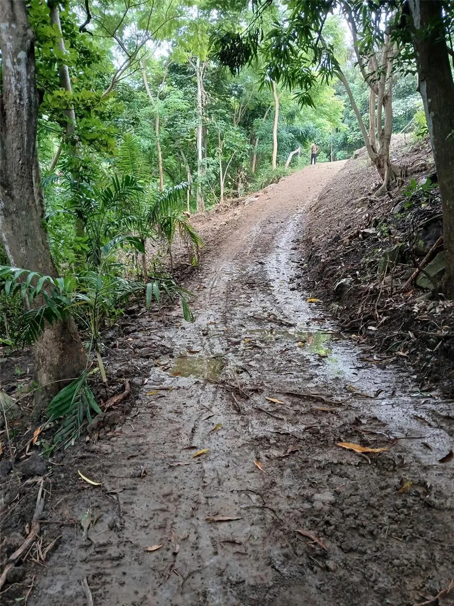 BARRERO STREET Rincon, PR 00677
