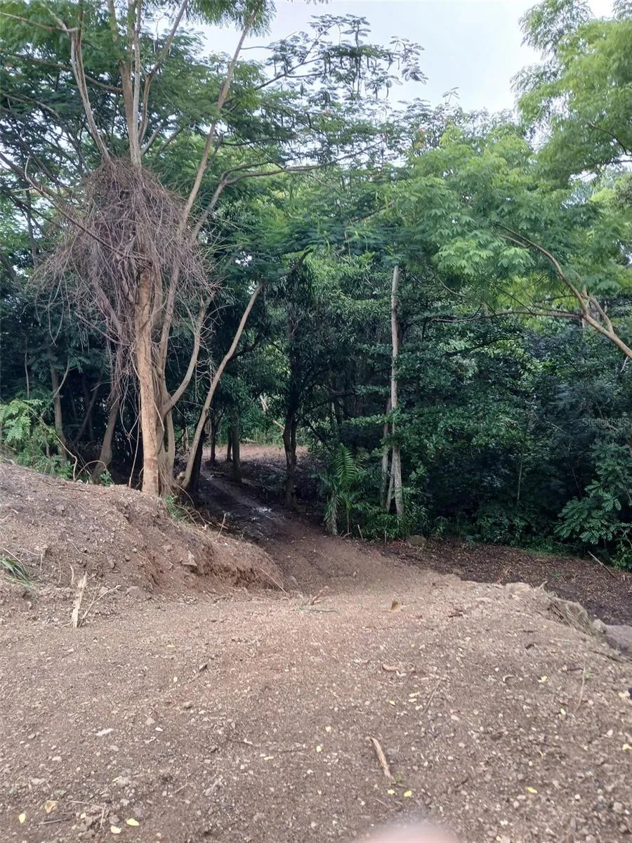 BARRERO STREET Rincon, PR 00677