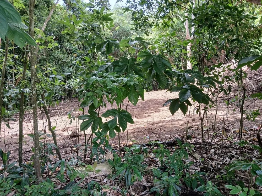 BARRERO STREET Rincon, PR 00677
