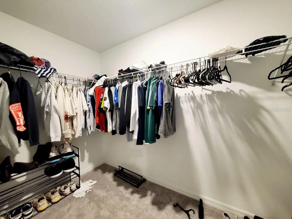 10268 TRUMPET HONEYSUCKLE WAY San Antonio, FL 33576