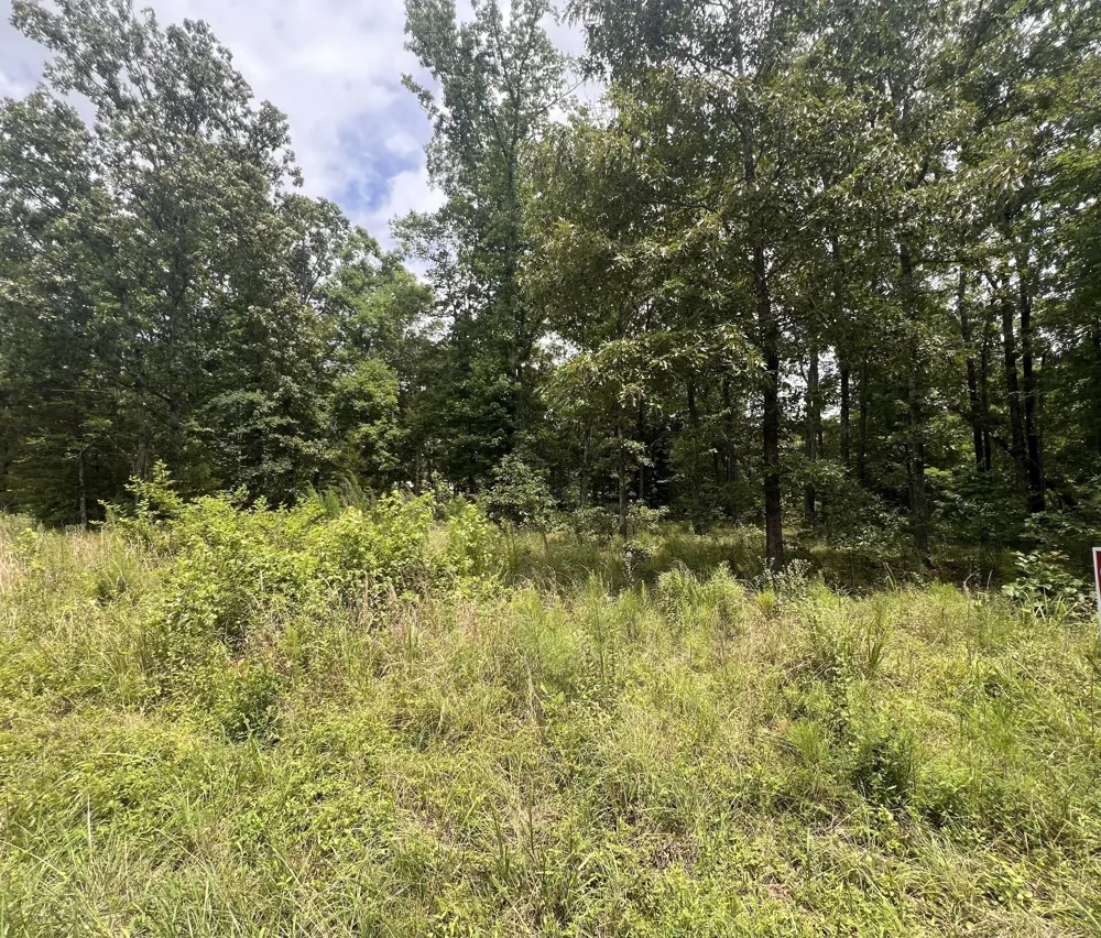 6 LakeView Drive Linden, TN 37096