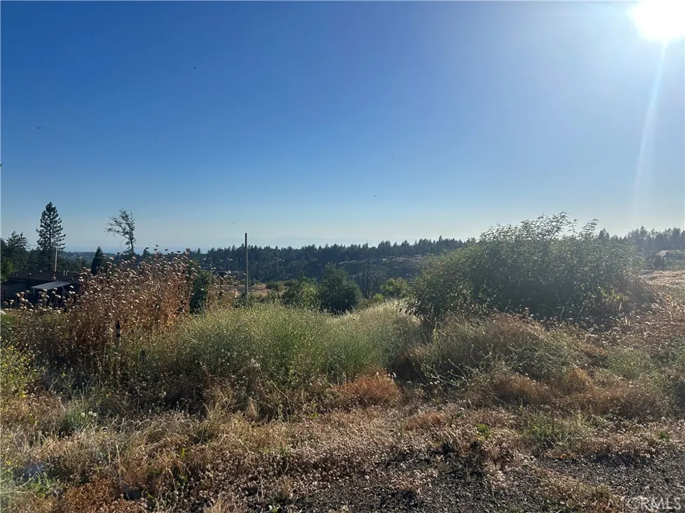 13753 Sugar Pine Magalia, CA 95954