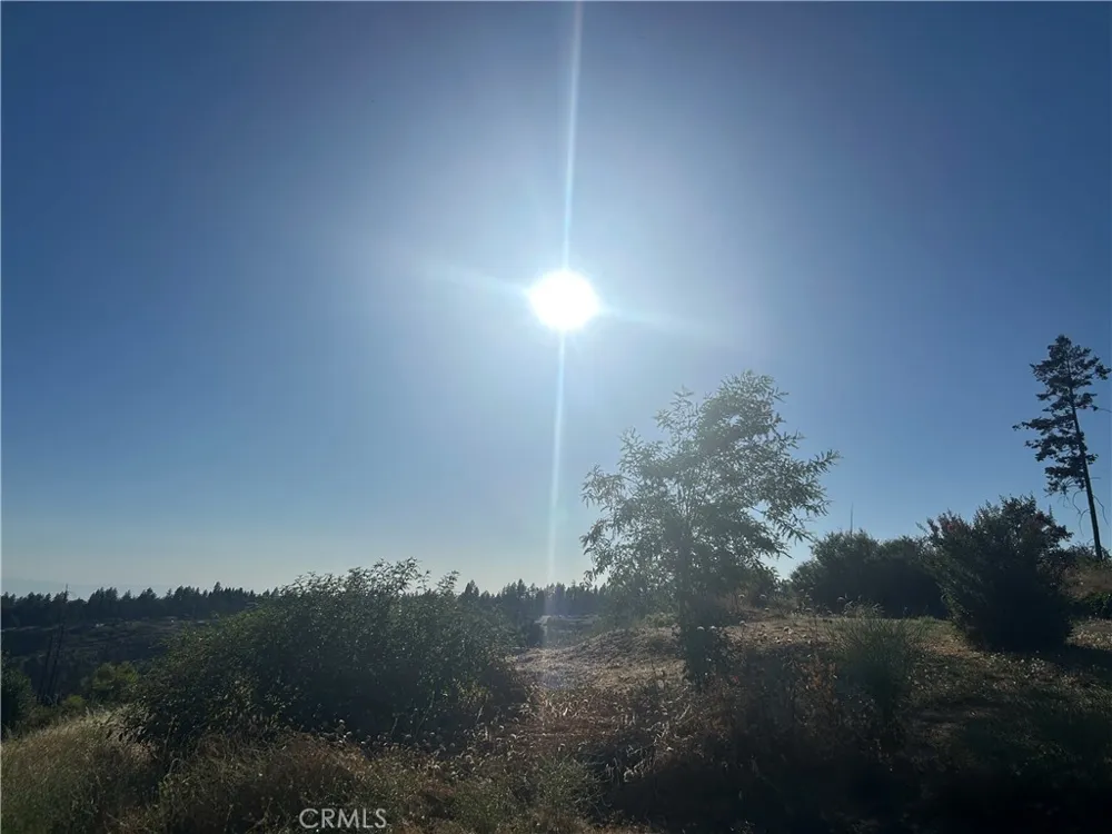13753 Sugar Pine Magalia, CA 95954