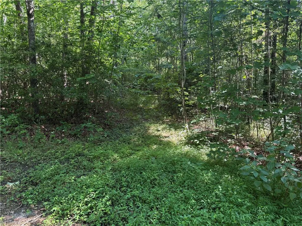 3032 Hauser Road East Bend, NC 27018