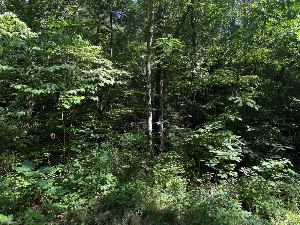 3032 Hauser Road East Bend, NC 27018
