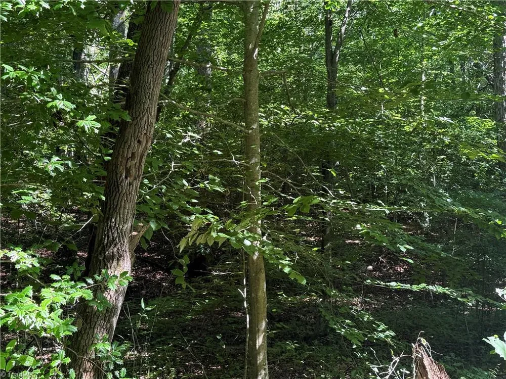 3032 Hauser Road East Bend, NC 27018