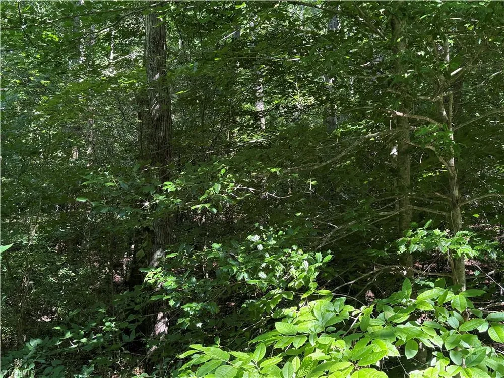 3032 Hauser Road East Bend, NC 27018