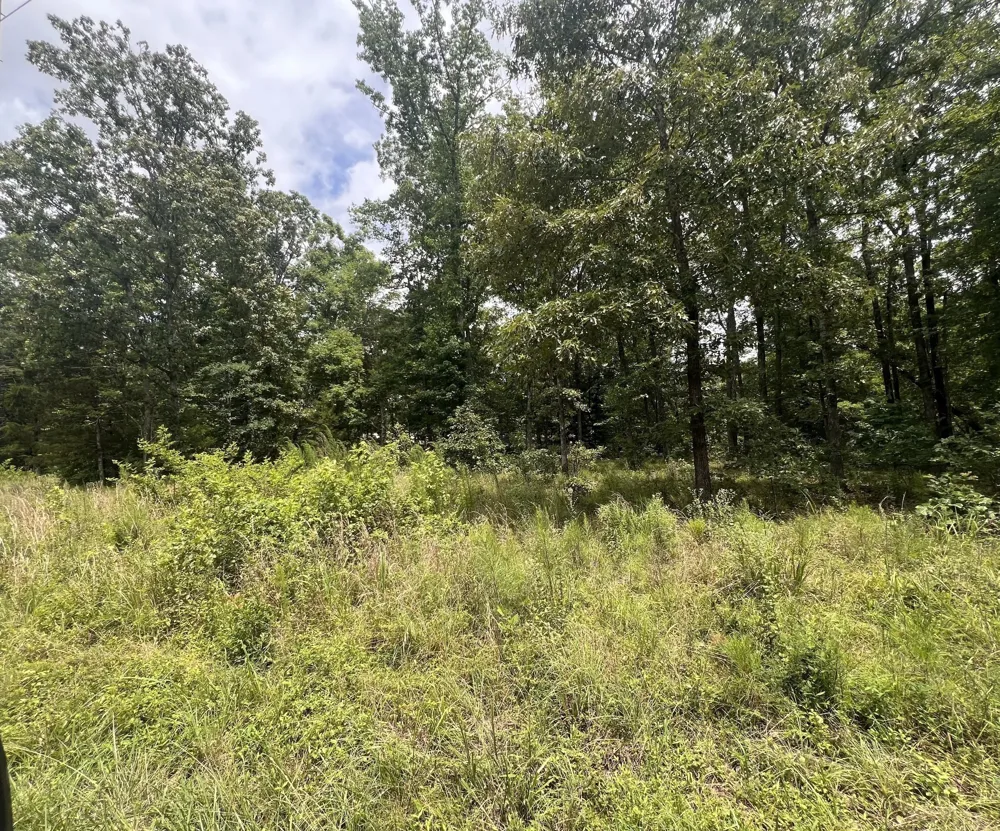 17 Lake View Drive Linden, TN 37096