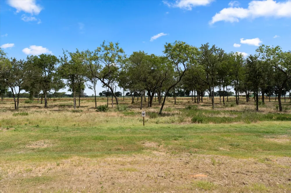 Little Pin Oak Way Richland, TX 76681