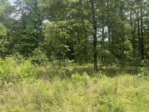 16 Lake View Drive