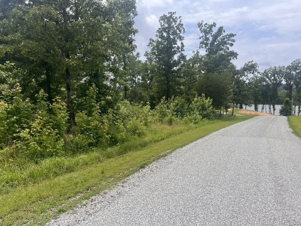 16 Lake View Drive Linden, TN 37096